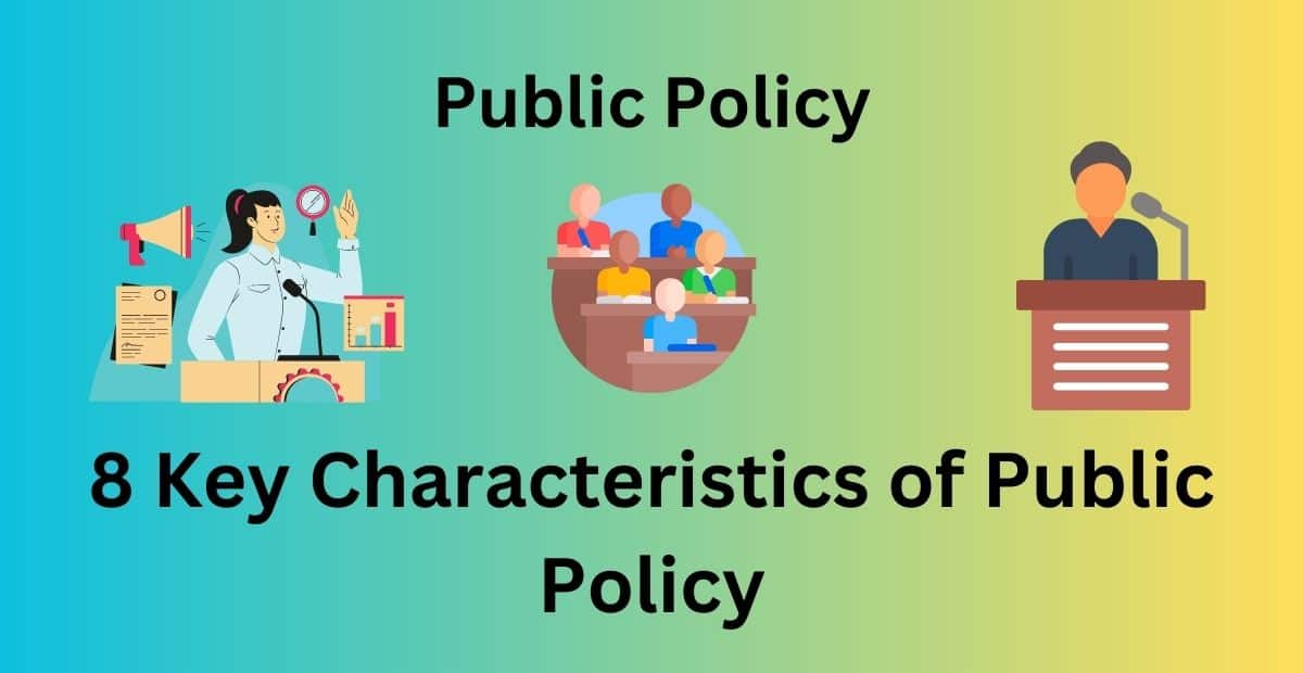 public policy definition essay